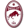 Logo Banyule City (W)